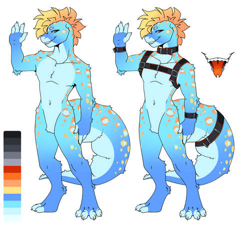 Mini Ref + Extra Fullbody